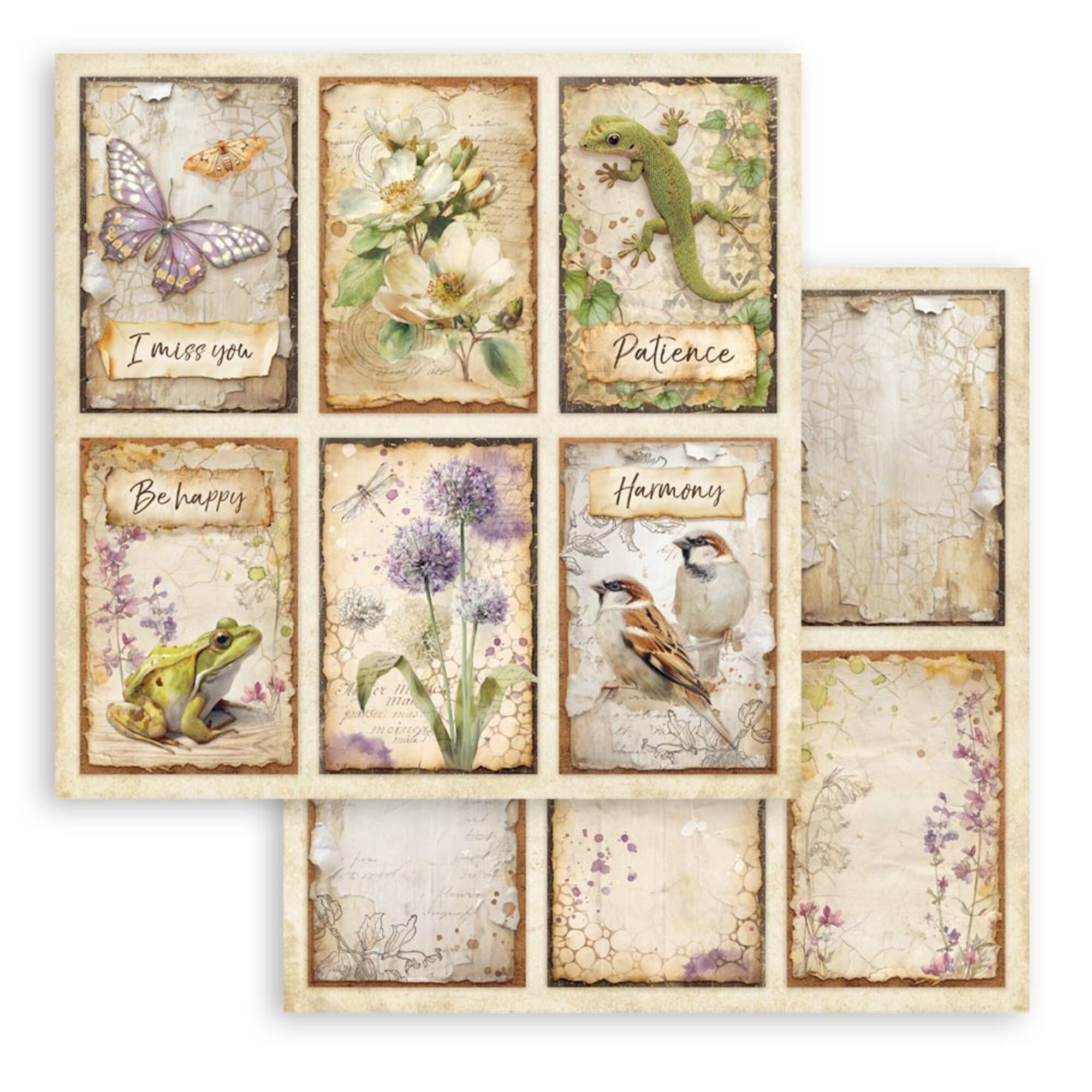 Stamperia – All Around paperilajitelma 30 x 30 cm - Image 10