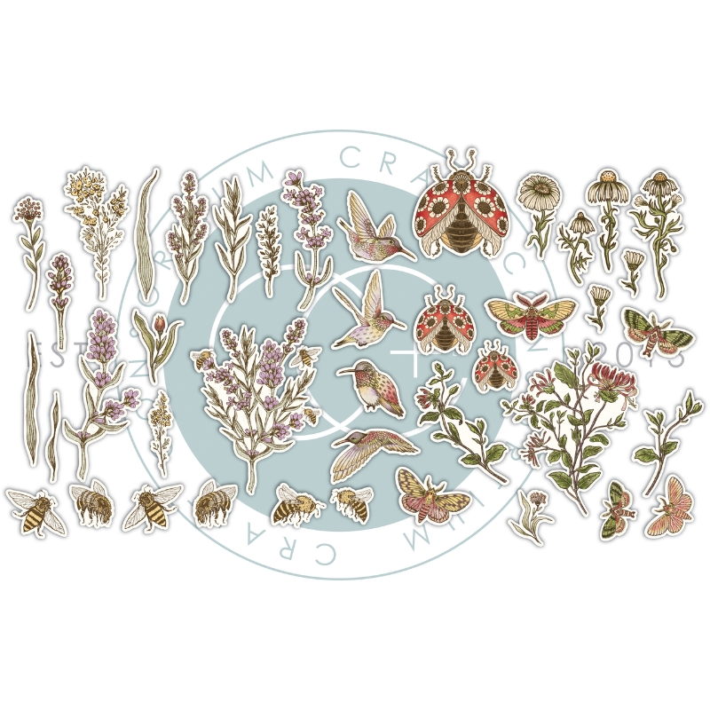 Craft Consortium – Vintage Summer Chipboard Ephemera kartonkikuvat (42 kpl) - Image 3