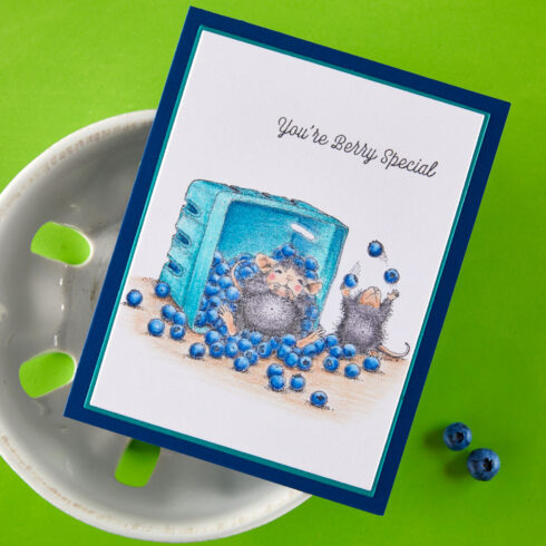 Spellbinders Rubber Stamp Blueberry Buddies leimasinsetti2