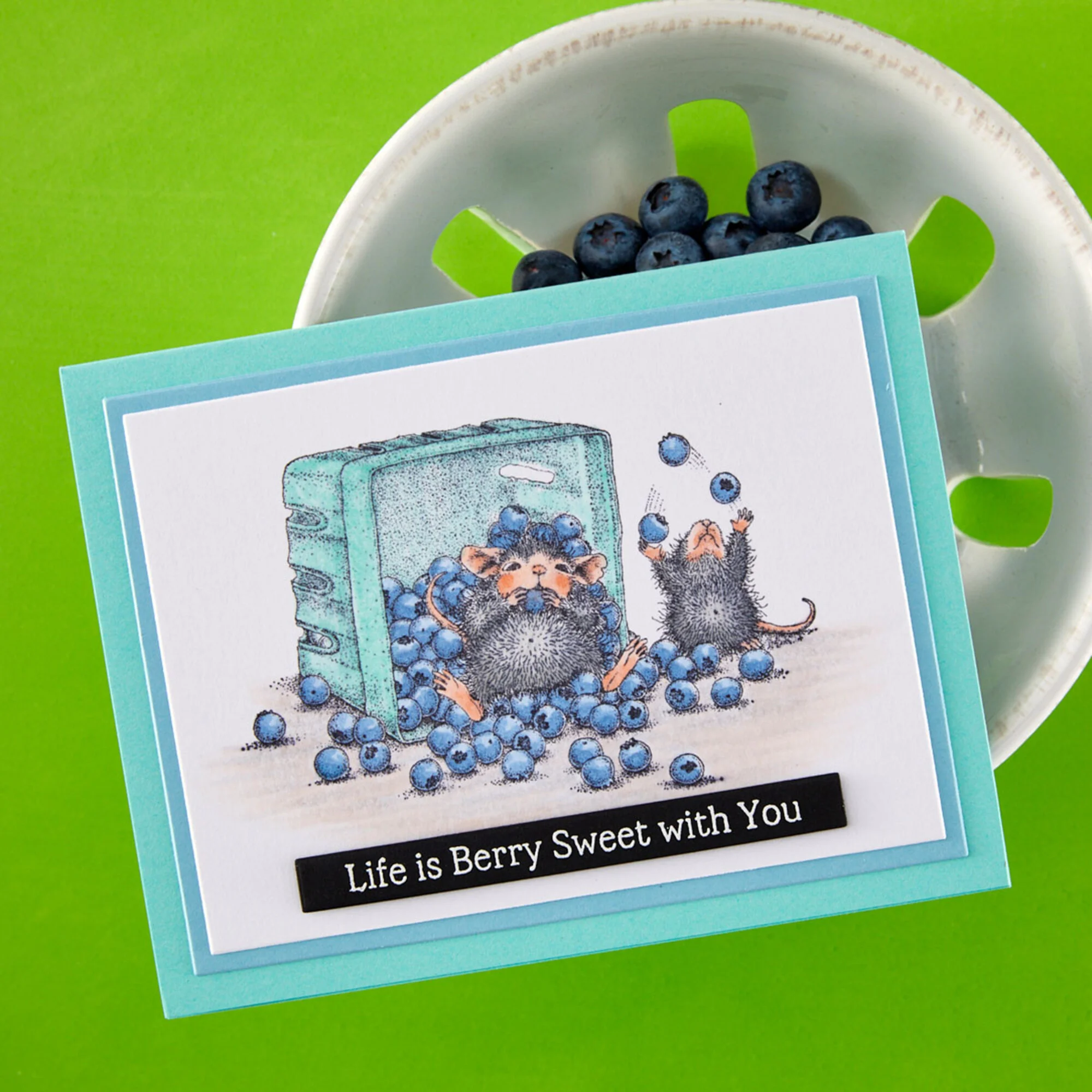 Spellbinders Rubber Stamp – Blueberry Buddies leimasinsetti - Image 3