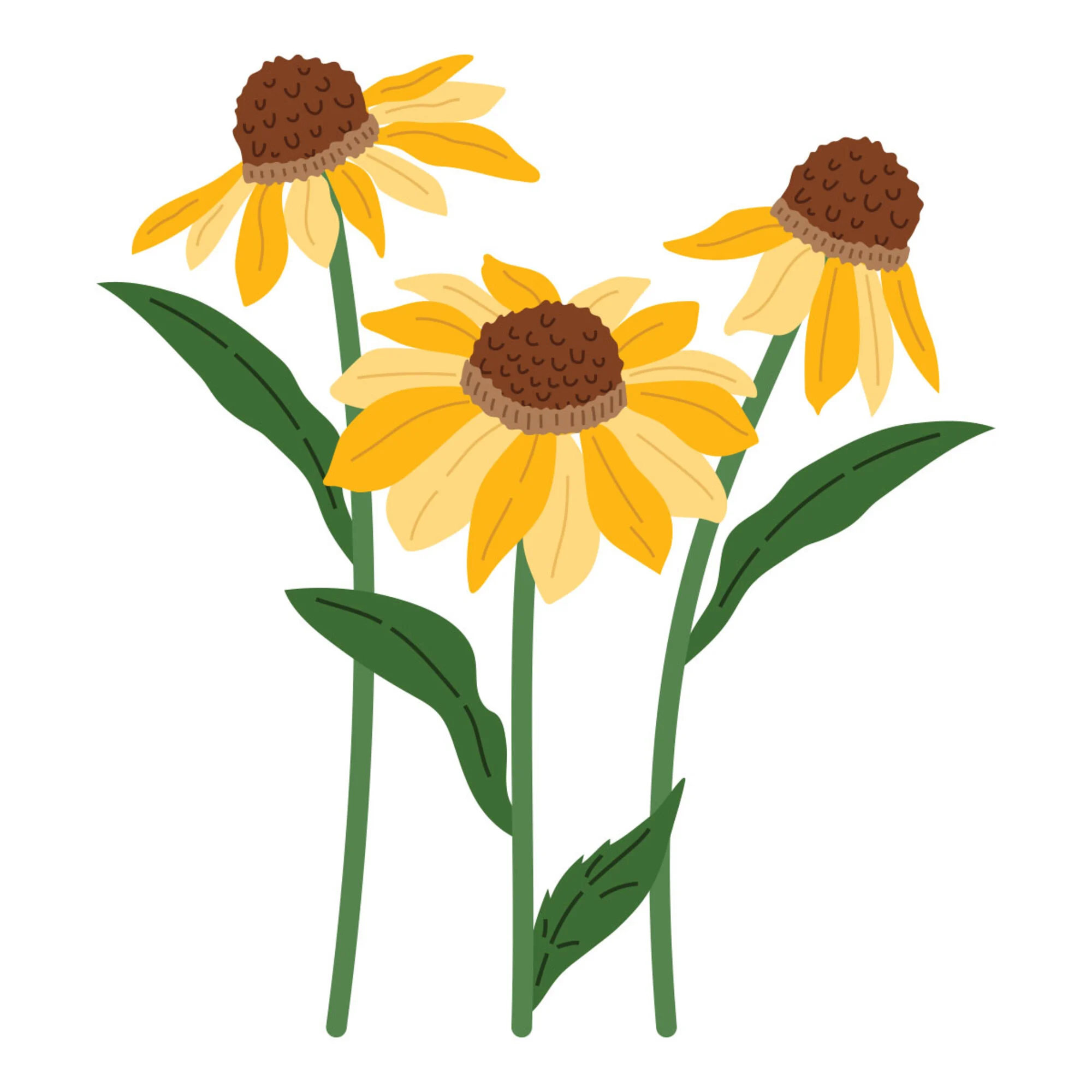 Spellbinders Simon Hurley stanssi – WILD CONEFLOWERS - Image 14