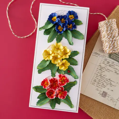 Spellbinders stanssi Serenity Garden PRIMROSE