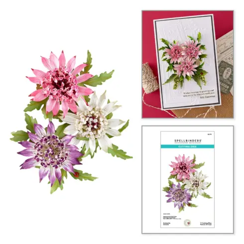 Spellbinders stanssi – Serenity Garden ASTRANTIA1