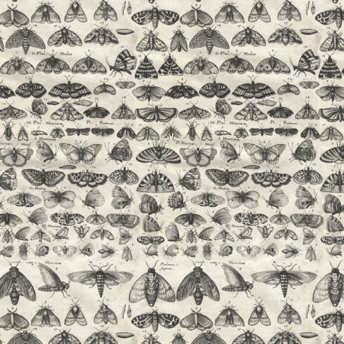Tim Holtz Idea ology Palette Collection Charcoal paperilajitelma 4