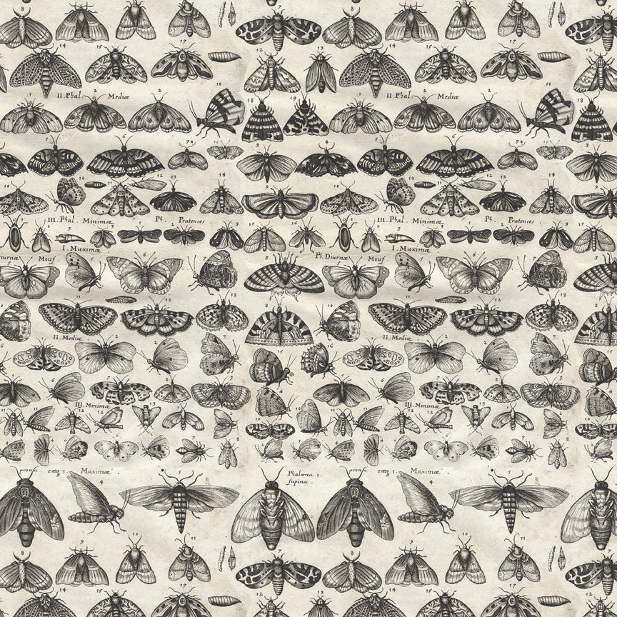 Tim Holtz Idea-ology – Palette Collection Charcoal paperilajitelma 20 x 20 cm - Image 6