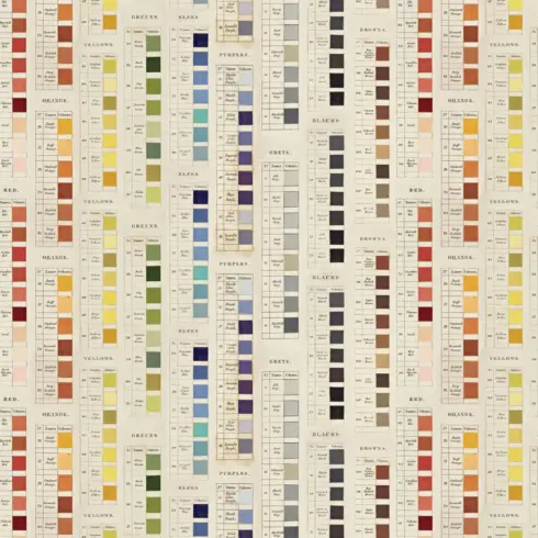 Tim Holtz Idea ology Palette Collection Multi paperilajitelma 2