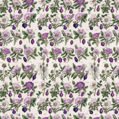 Tim Holtz Idea ology Palette Collection Purple paperilajitelma 3