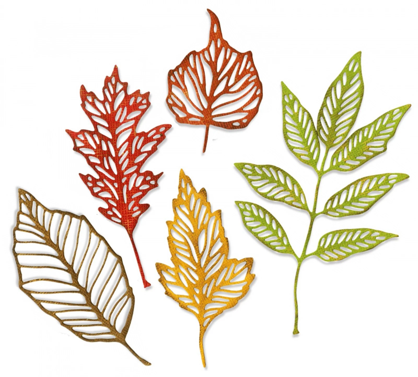 Sizzix Tim Holtz Thinlits stanssi – SKELETON LEAVES - Image 6