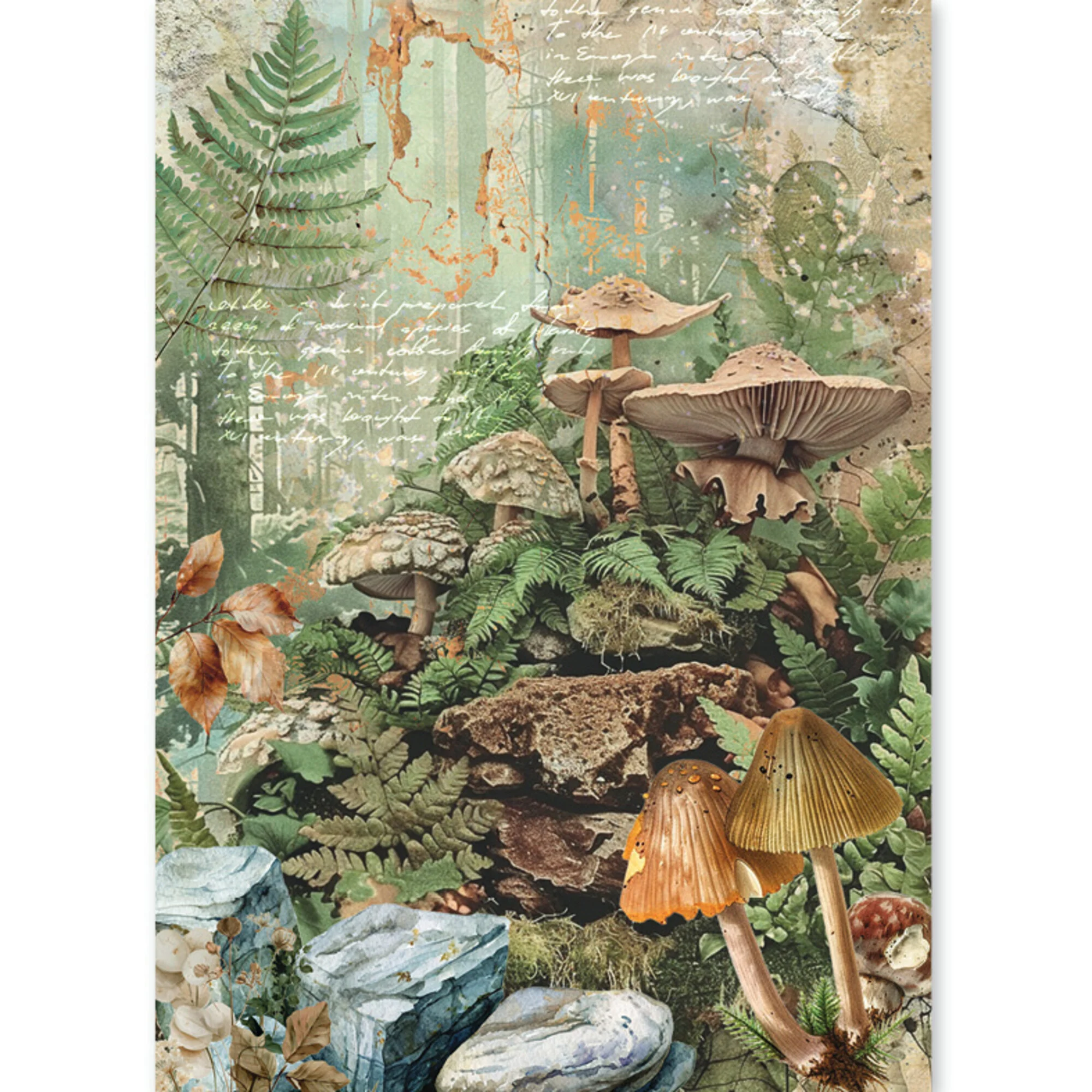 Ciao Bella – The Nature Journal Rice Paper Mixed riisipaperi 8kpl (A5) - Bild 3