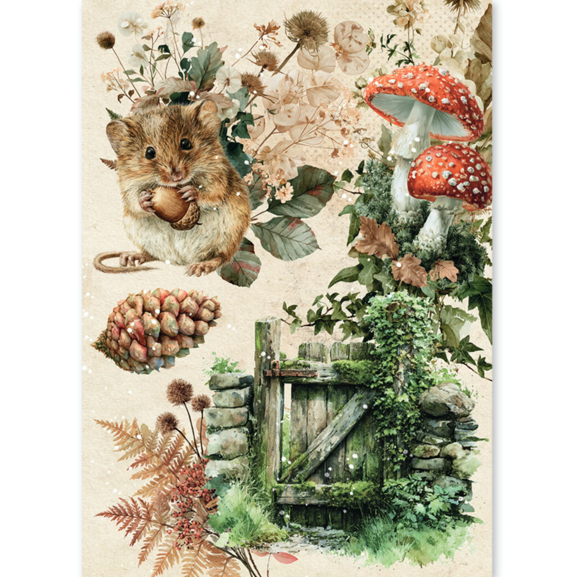 Ciao Bella – The Nature Journal Rice Paper Mixed riisipaperi 8kpl (A5) - Bild 7