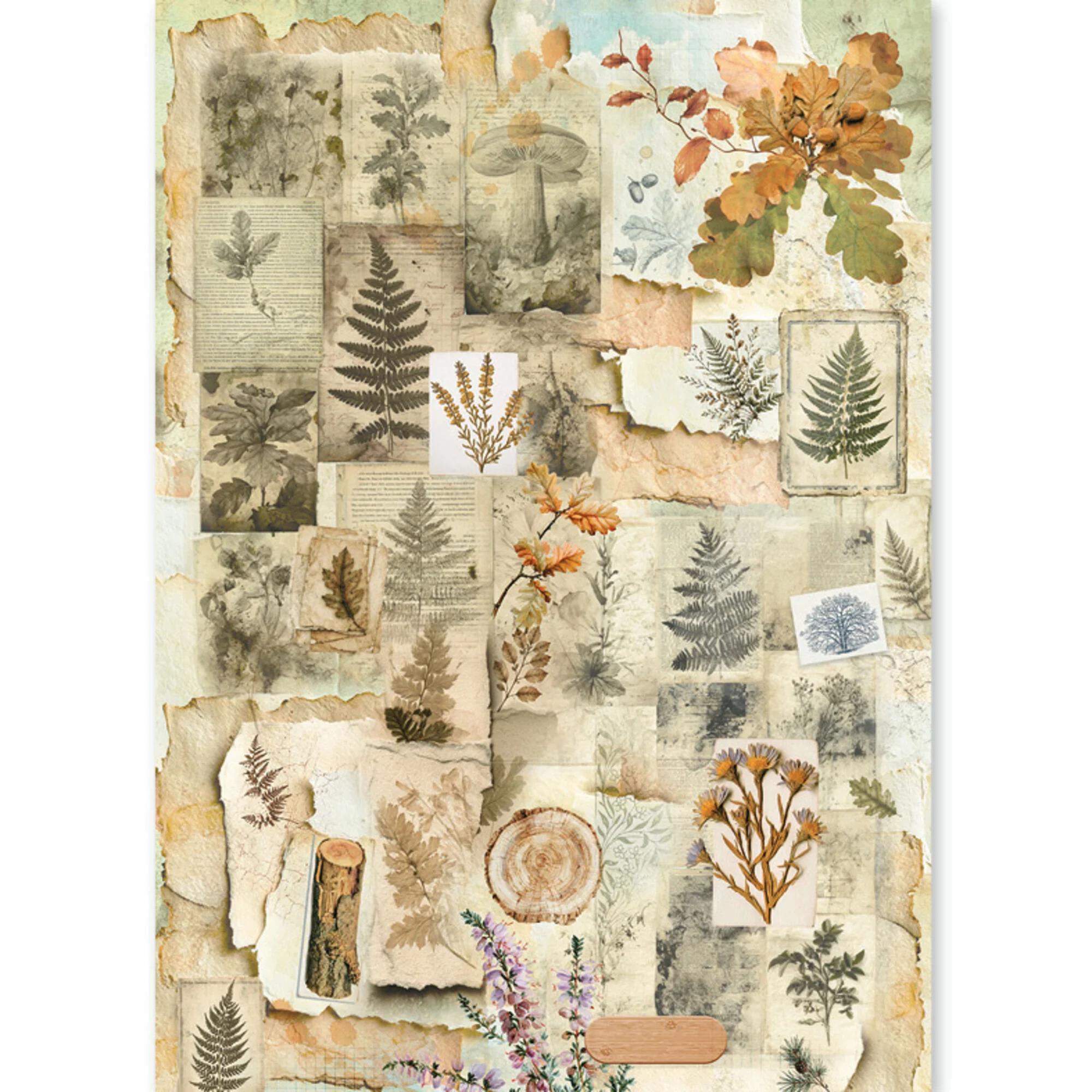 Ciao Bella – The Nature Journal Rice Paper Mixed riisipaperi 8kpl (A5) - Bild 9