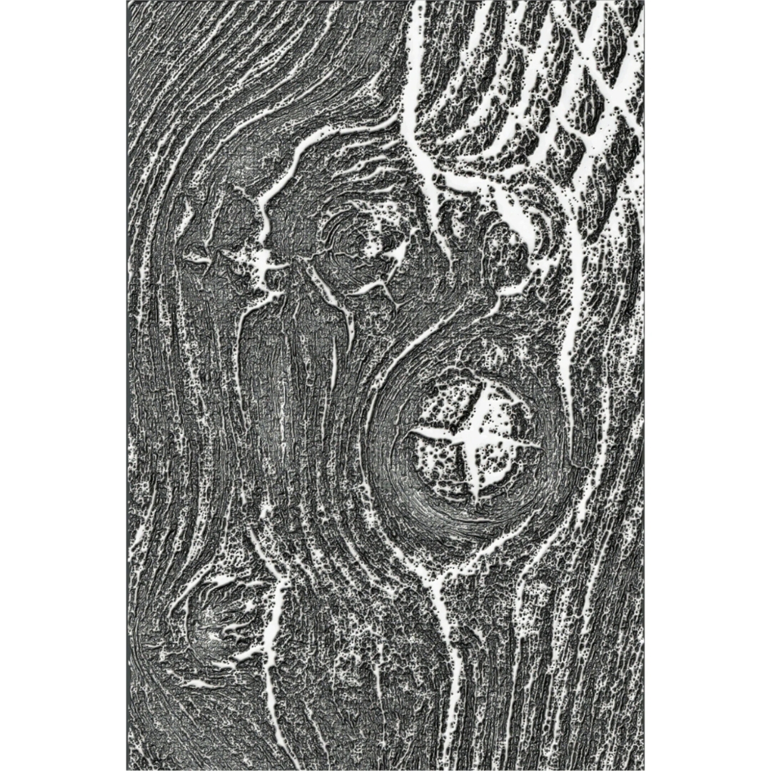 Sizzix Tim Holtz 3D kohokuviointikansio Texture Fades – WOODGRAIN (A6) - Bild 2