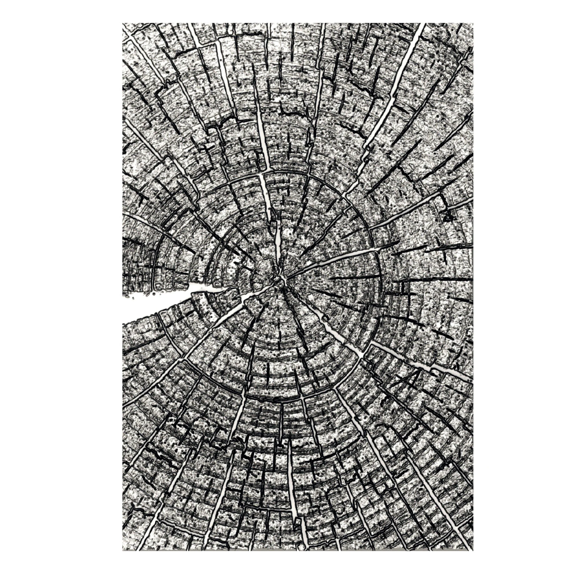 Sizzix Tim Holtz 3D kohokuviointikansio Textured Fades – TREE RINGS (A5) - Bild 6