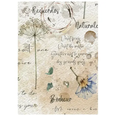 Stamperia Flowers and Poems Mini Rice Paper riisipaperi 8 kpl A6 3