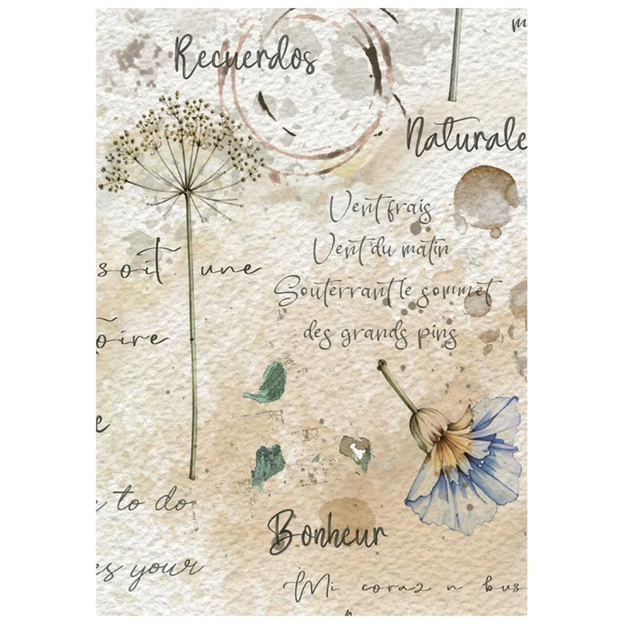 Stamperia – Flowers and Poems Mini Rice Paper riisipaperi (8 kpl) A6 - Bild 7