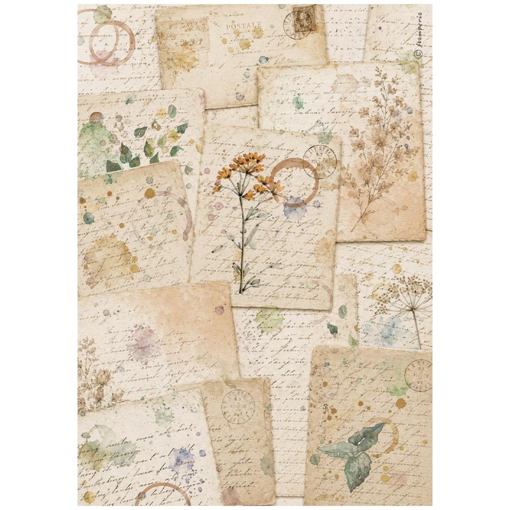 Stamperia – Flowers and Poems Selection Rice Paper riisipaperi (6kpl) A4 - Bild 2