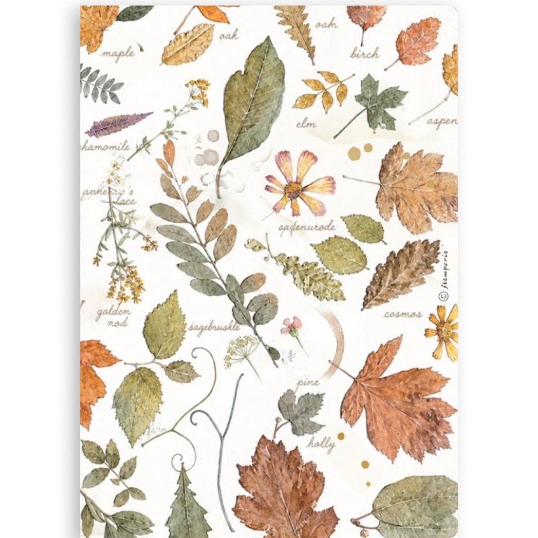 Stamperia – Flowers and Poems Washi Pad (8 kpl) A5 - Bild 3