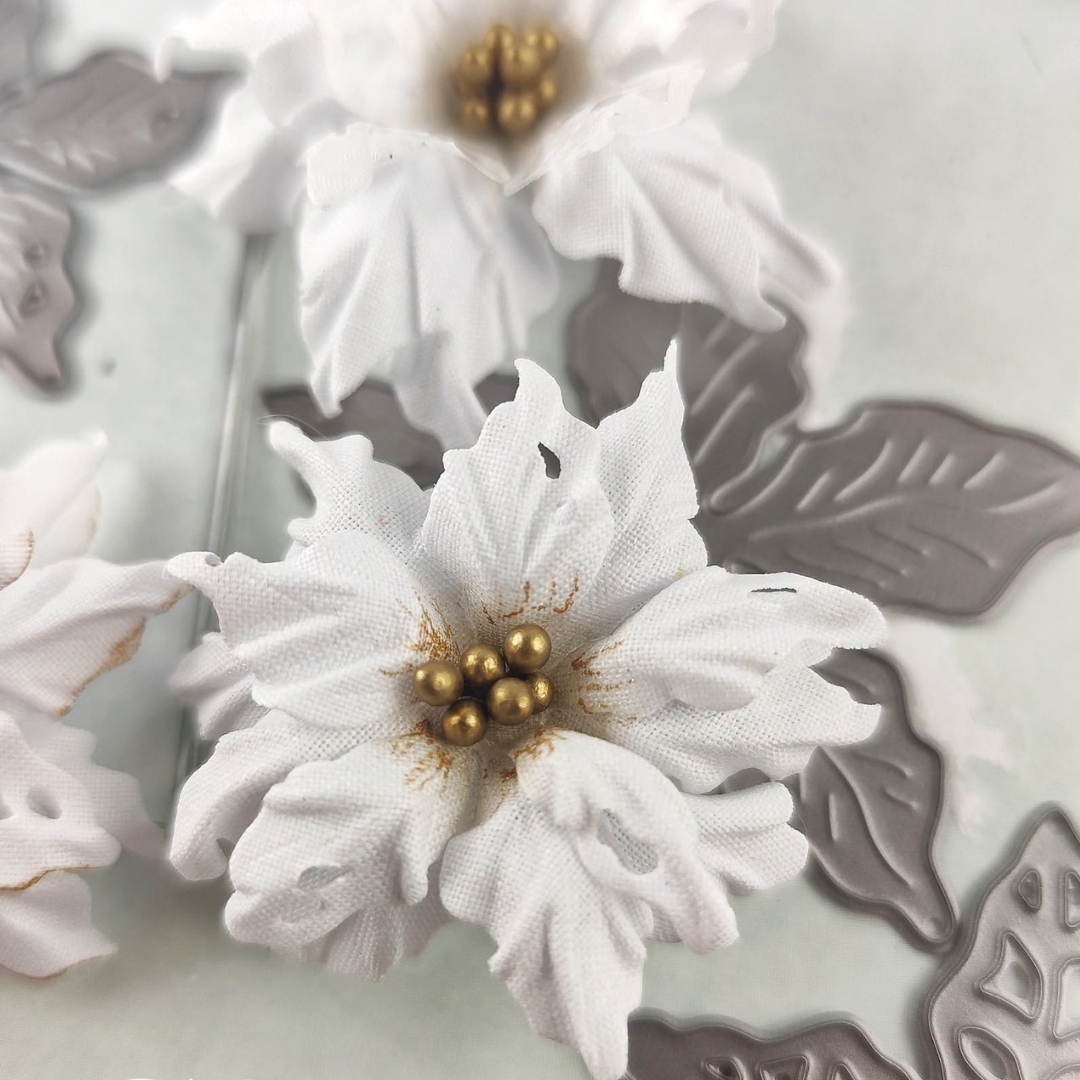 Craft & You Design stanssi – POINSETTIA 2 BY MAGDA SMALL - Image 2