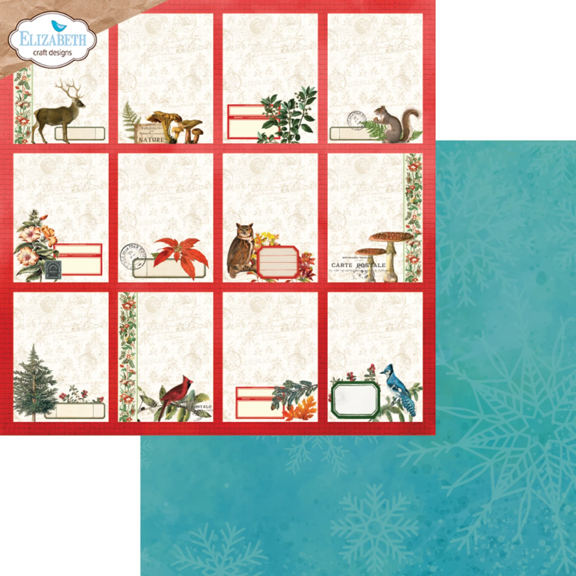 Elizabeth Craft Designs – Comfy Cozy paperilajitelma 30 x 30 cm - Image 5