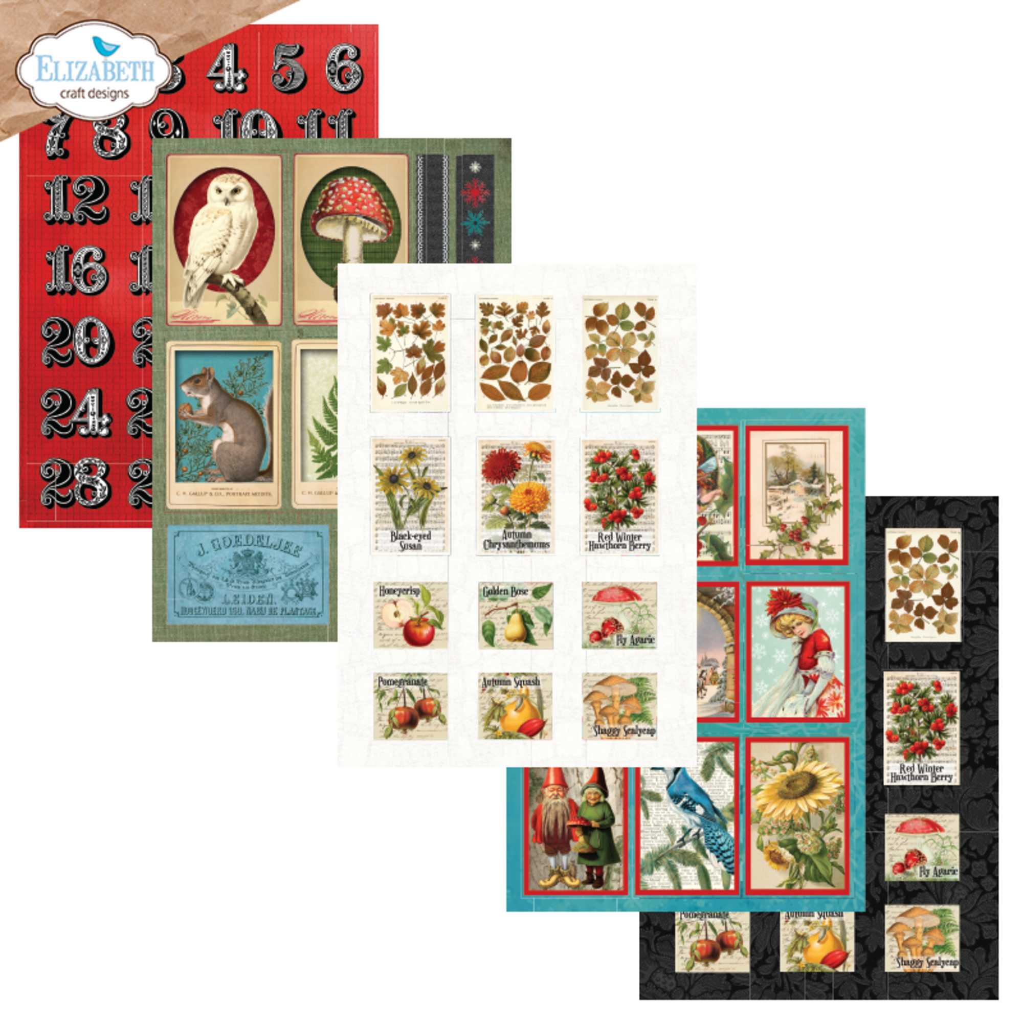 Elizabeth Craft Designs – Everyday Ephemera 3 leikekuvat A5 - Image 2