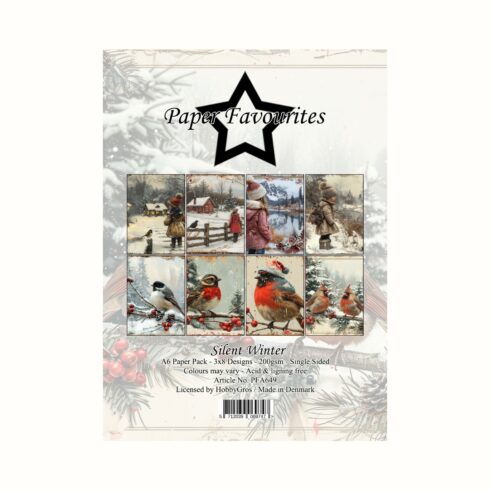 Paper Favourites Silver Winter paperilajitelma A6