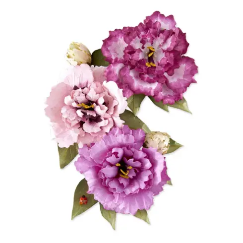 Spellbinders The Cottage Garden LISIANTHUS stanssi