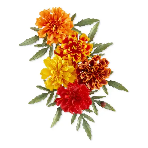 Spellbinders The Cottage Garden MARIGOLD stanssi 1