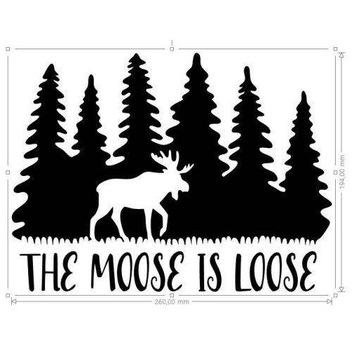 moose is loose
