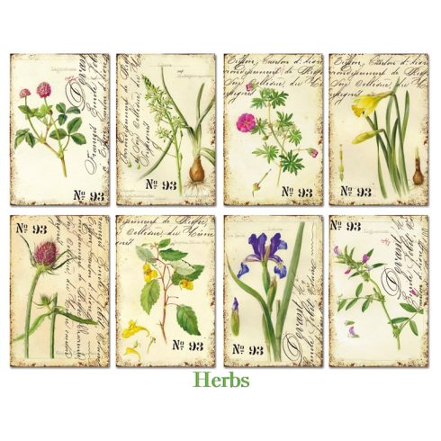 Decorer – Herbs korttikuvat 7 x 10,8 cm (24 kpl)