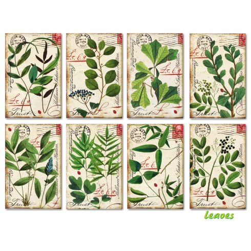 Decorer – Leaves korttikuvat 7 x 10,8 cm (24 kpl)