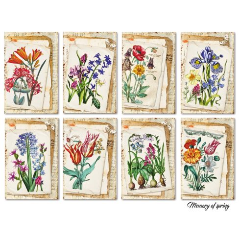 Decorer – Memory of Spring korttikuvat 7 x 10,8 cm (24 kpl)