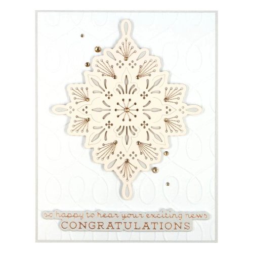 spellbinders stitched medallion etched dies s3 437 2