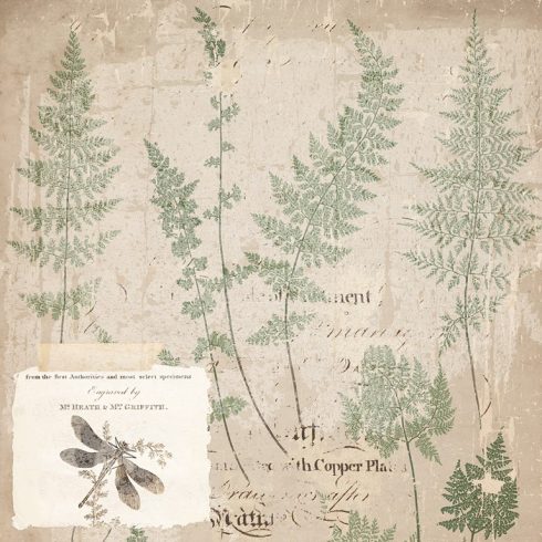 Creative Expressions – Shabby Botanicals paperilajitelma1