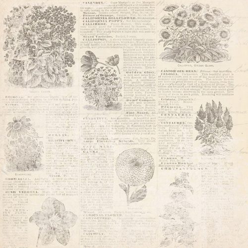 Creative Expressions – Shabby Botanicals paperilajitelma5